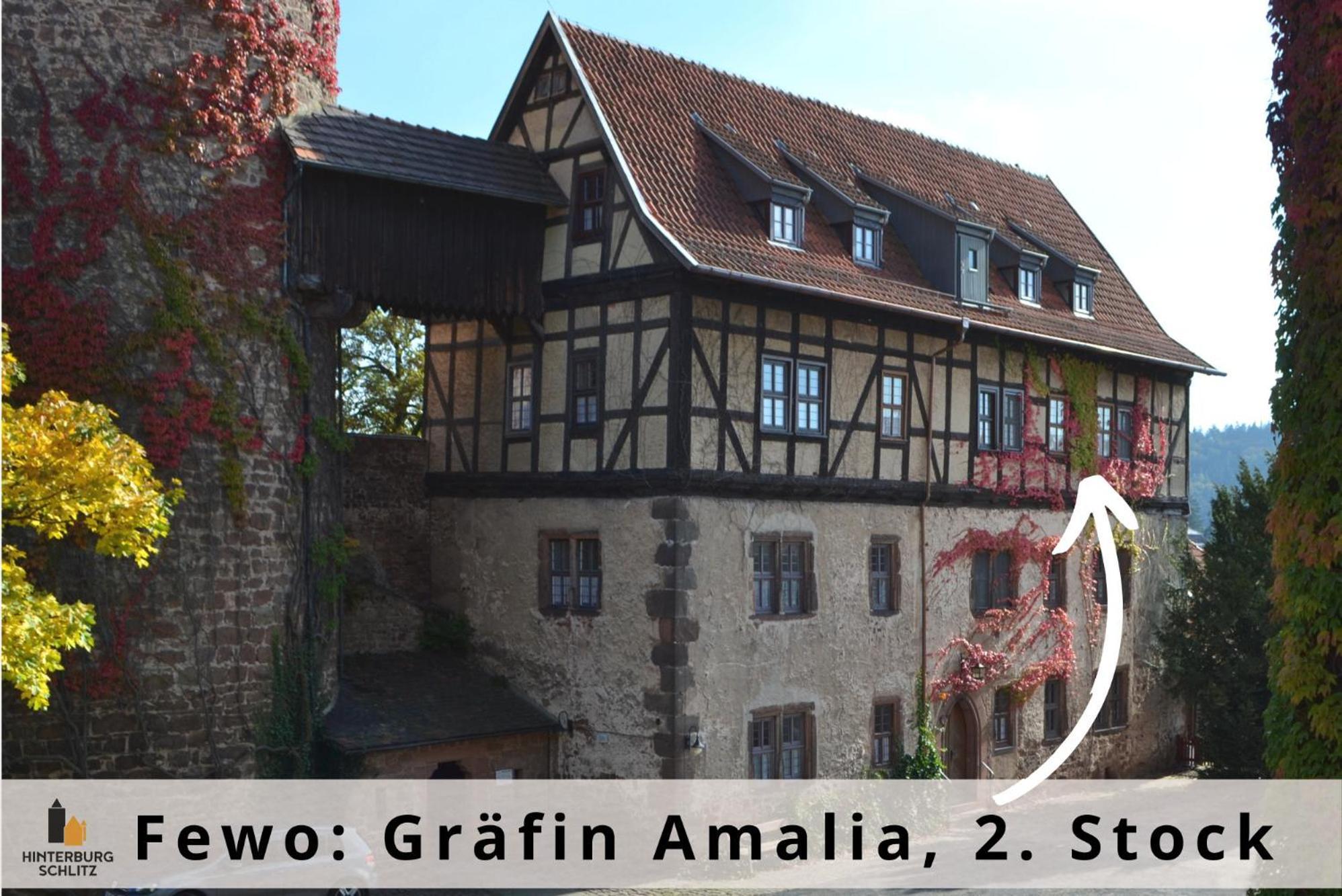 Graefin Amalia - Elegantes Apartment In Der Historischen Hinterburg In Schlitz, 2 Schlafzimmer, Mit Garten, Nahe Fulda Und Bad Hersfeld Экстерьер фото
